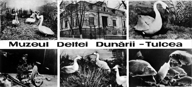 212 - Muzeul Deltei Dunarii - Tulcea